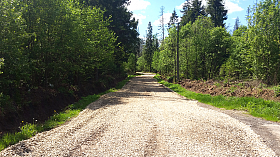 Начинаем ремонт лесного участка дороги в поселке Нескучный Сад