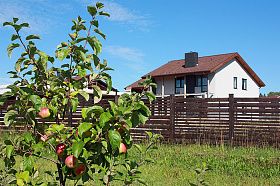 В яблоневом саду поселка ИстЛандия созревает первый урожай яблок